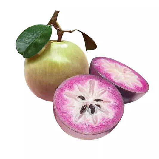 Vú Sữa | Star Apple