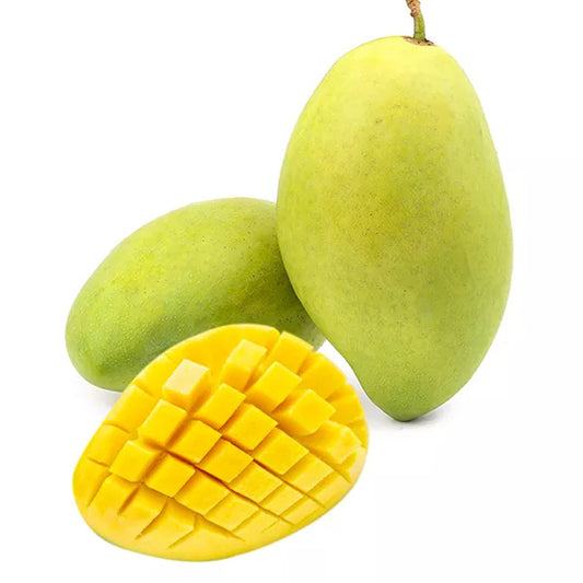 Xoài Cát Hòa Lộc | Hoa Loc Mango