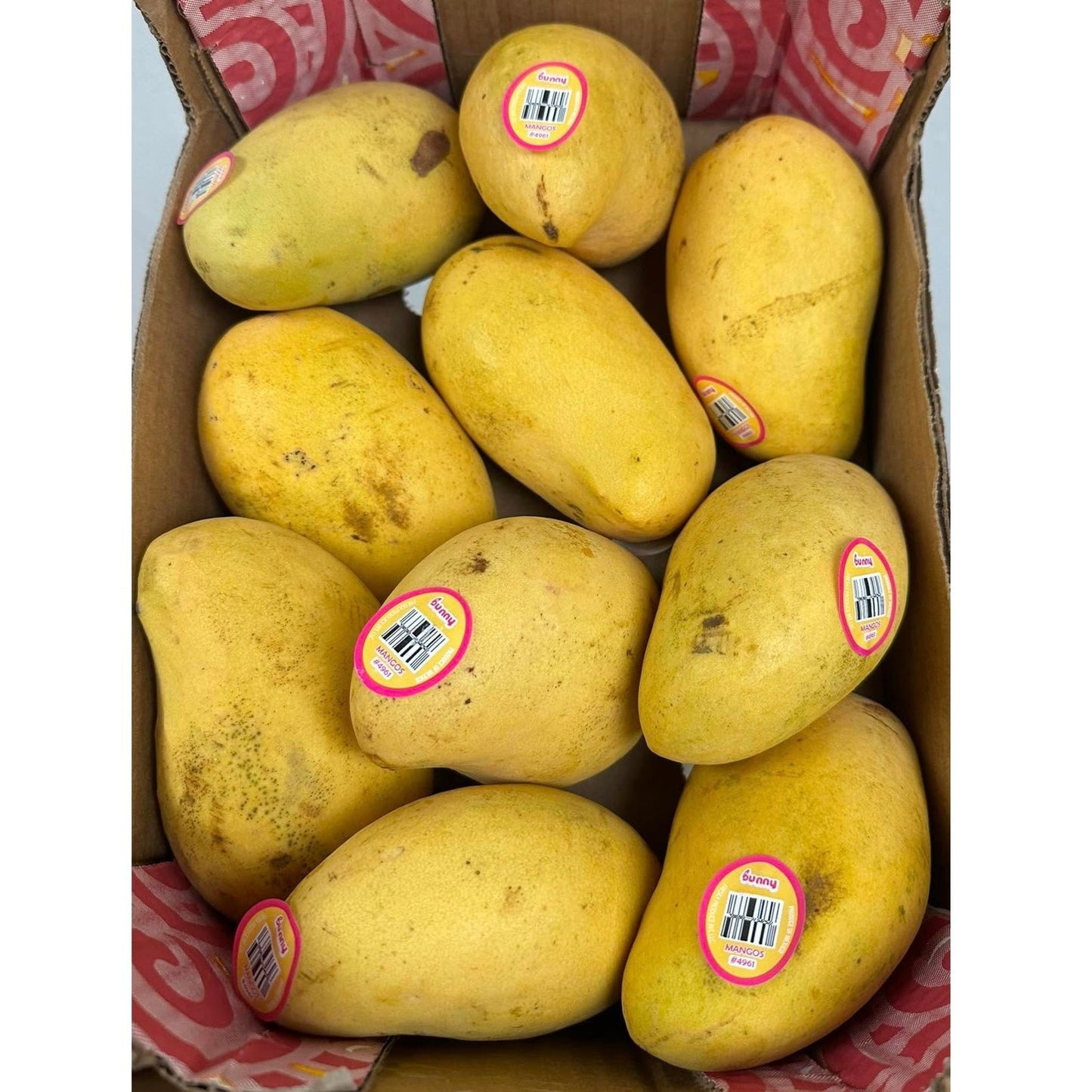 Xoài Thanh Ca- Bunny Brand | Mangifera Mekongensis