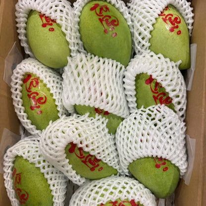 Xoài Cát Hòa Lộc | Hoa Loc Mango