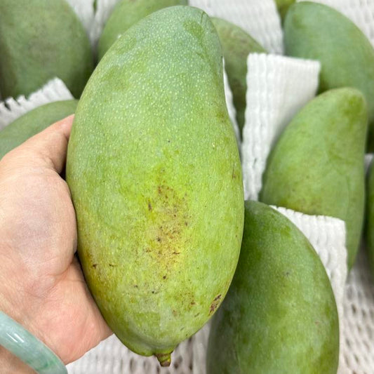 Xoài Thái | Thailan Green Mango